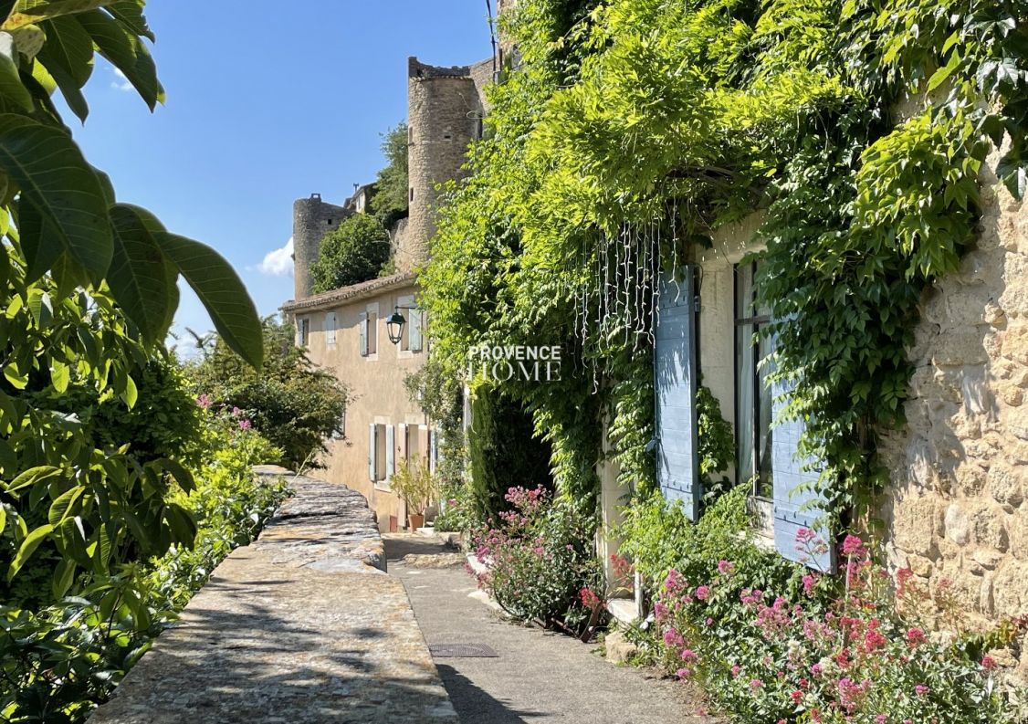 vente Maison Menerbes