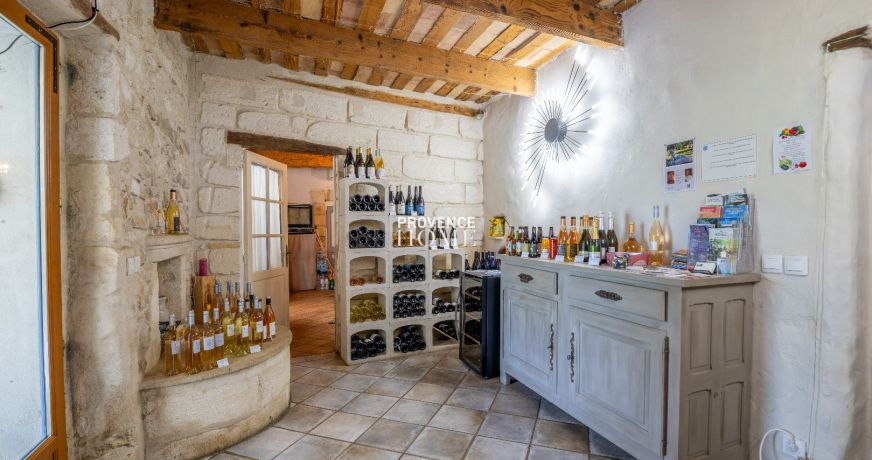 vente Propriété Avignon