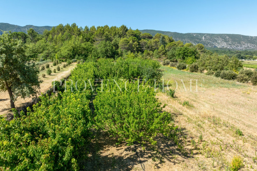 vente Terrain Oppede - Photo 4
