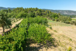 vente Terrain Oppede
