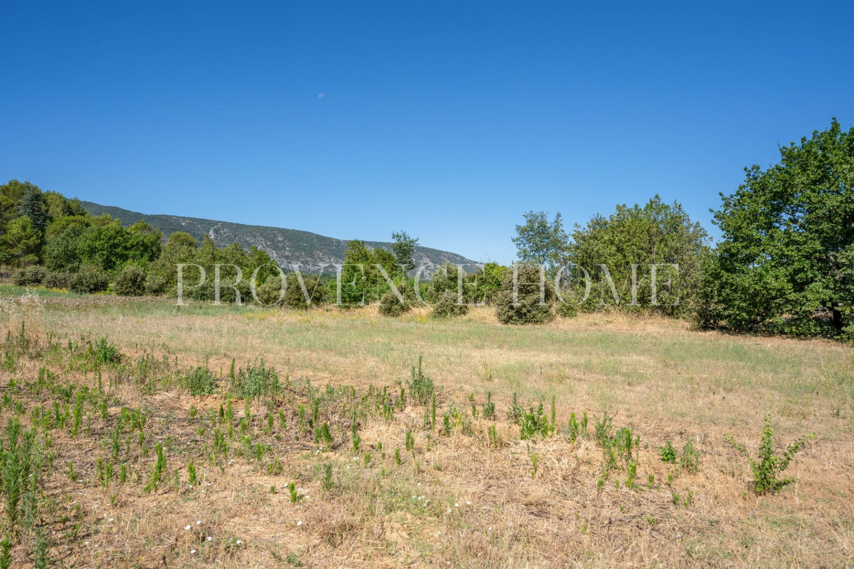 sale Terrain Oppede - Photo 8