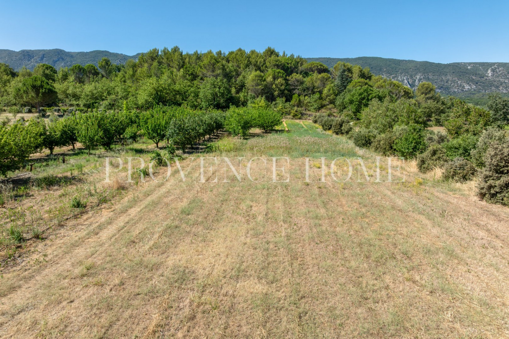 sale Terrain Oppede - Photo 5