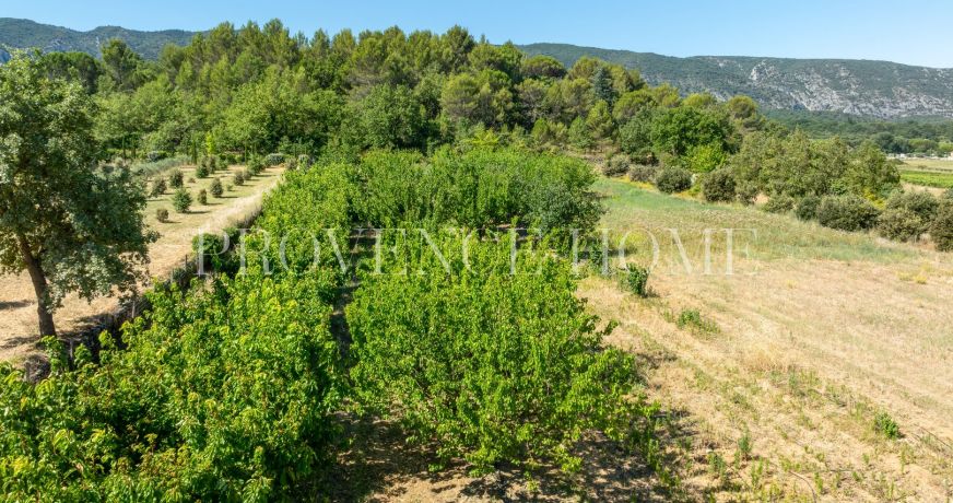 vente Terrain Oppede