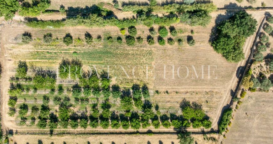 vente Terrain Oppede