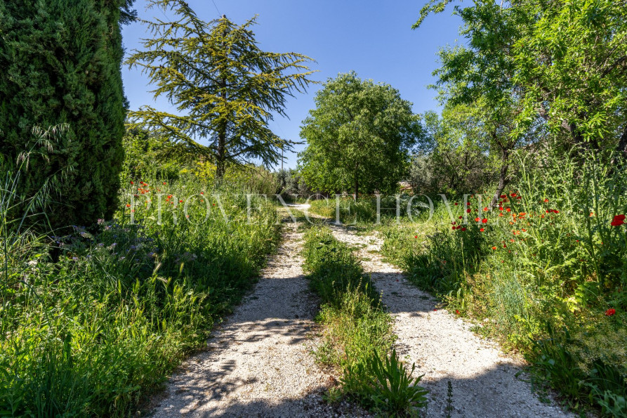 vente Terrain Cabrieres D'avignon - Photo 3