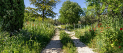 vente Terrain constructible Cabrieres D'avignon