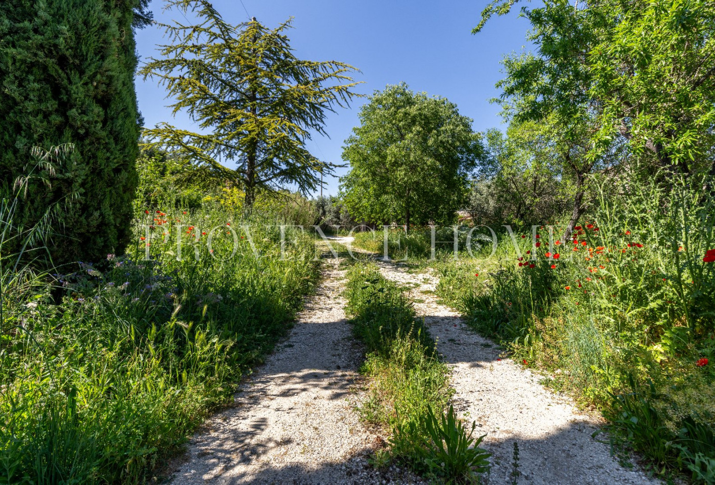 vente Terrain constructible Cabrieres D'avignon - Photo 2