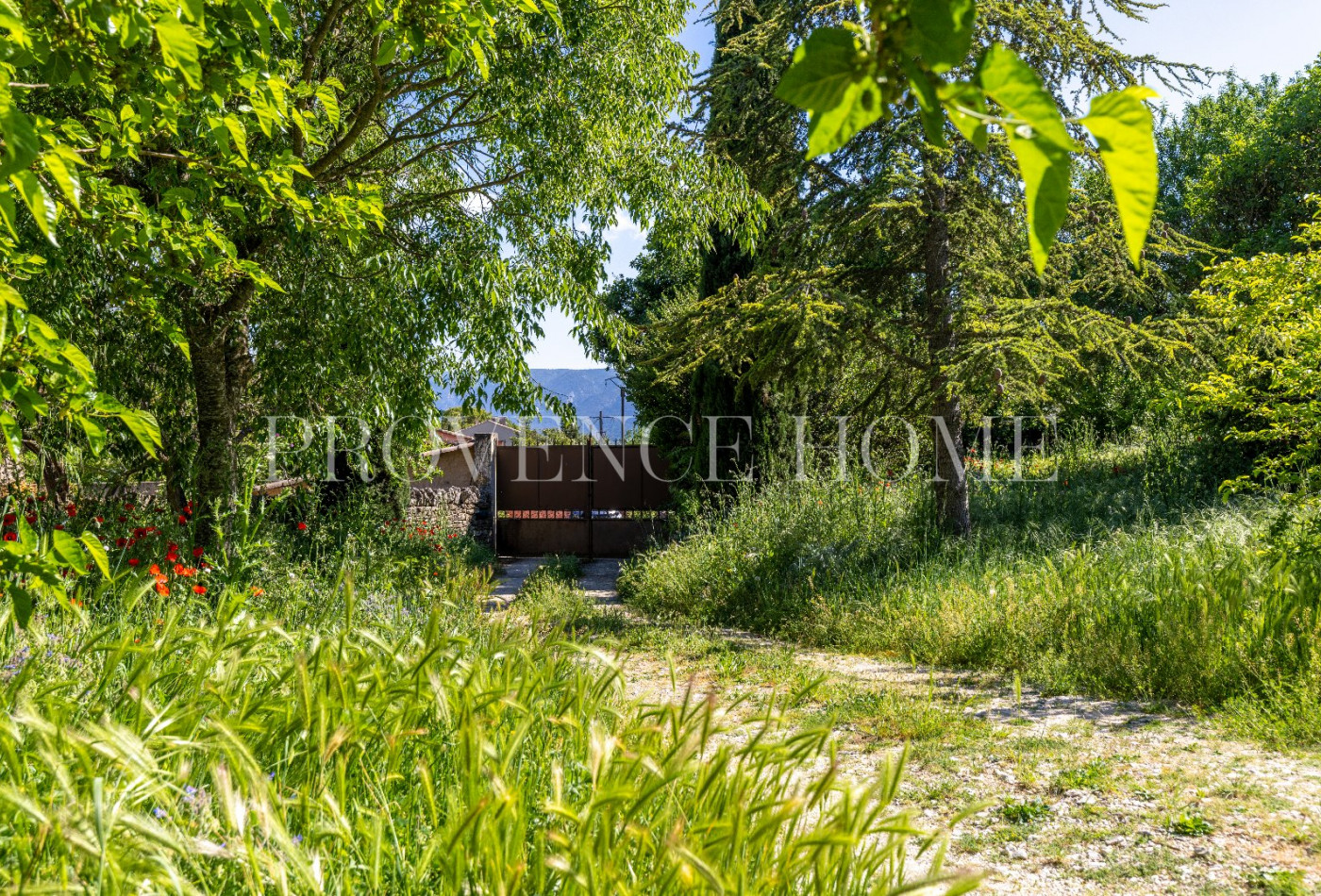 vente Terrain constructible Cabrieres D'avignon - Photo 1