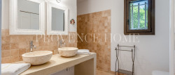 vente Maison Robion