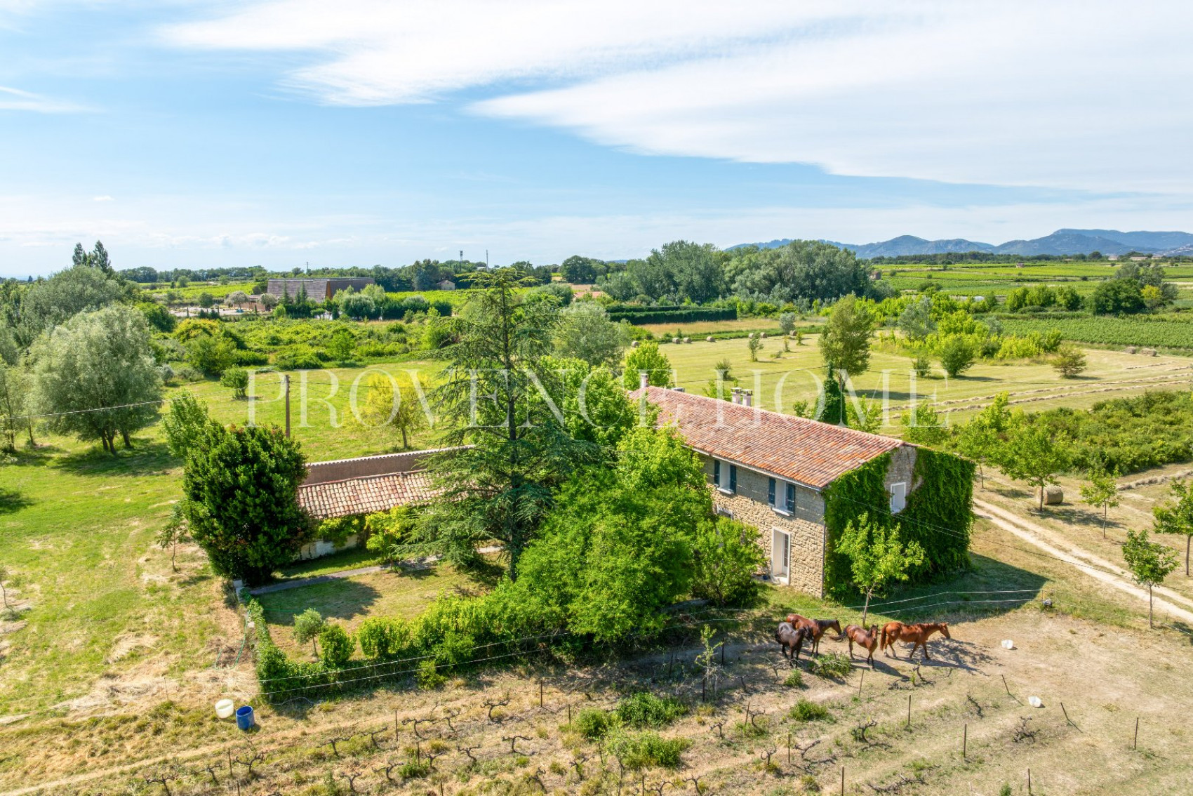 sale Propriété Mazan - Photo 1