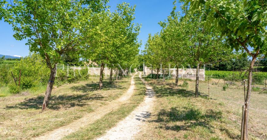 vente Maison Mazan