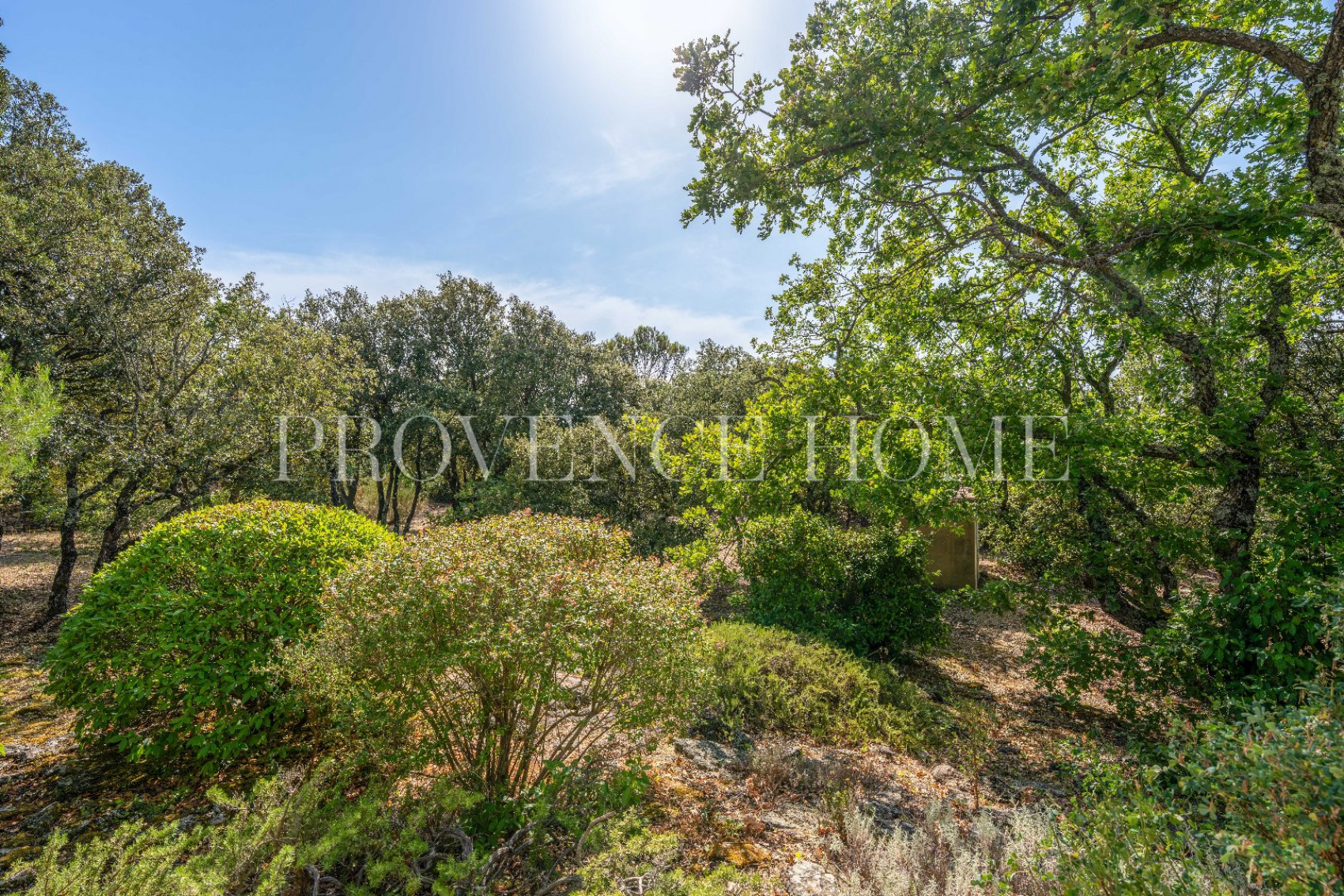 sale Propriété Bonnieux - Photo 20