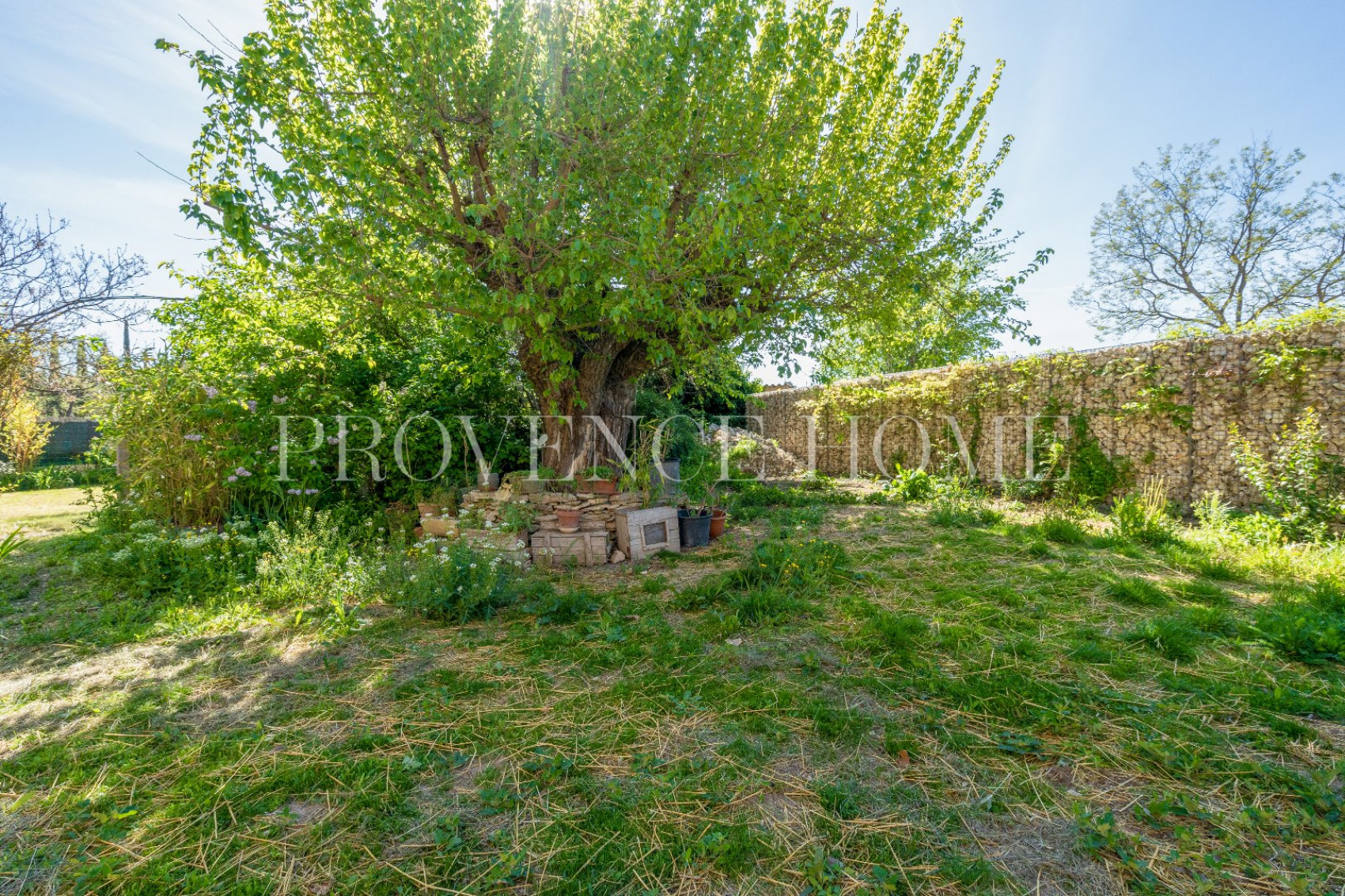 sale Roussillon - Photo 20