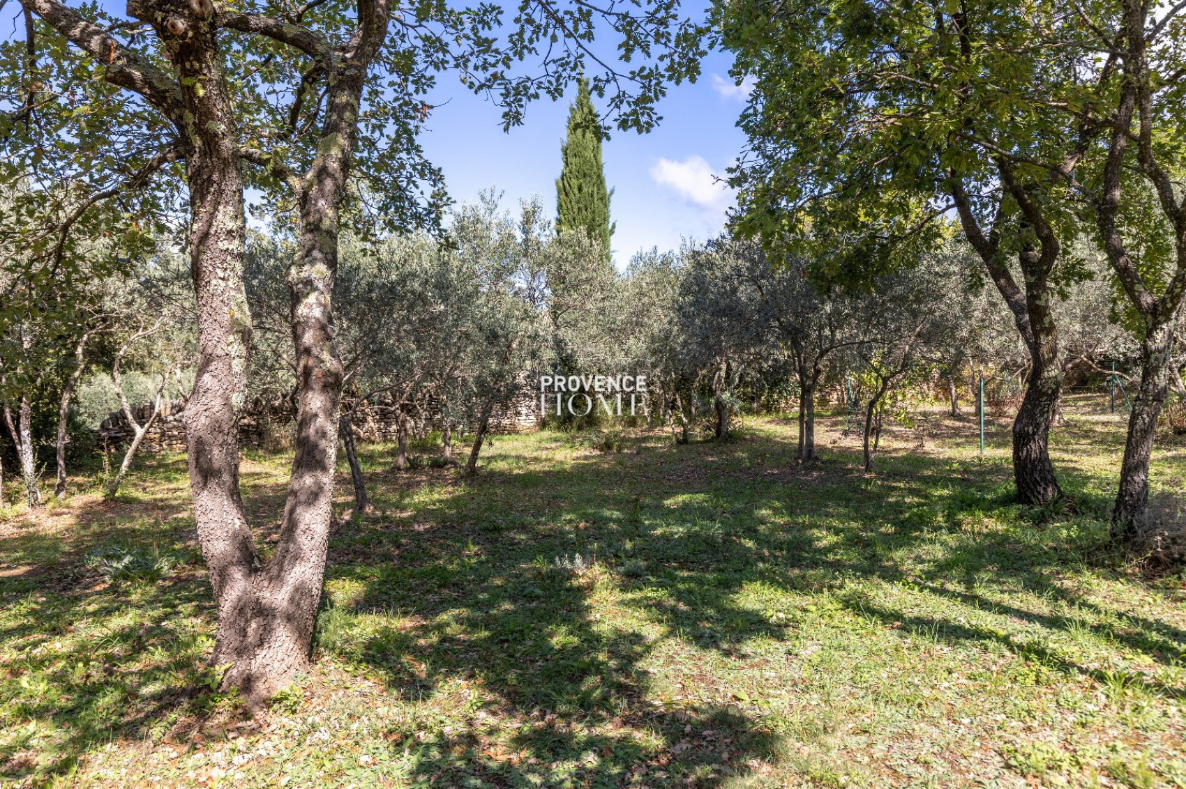 vente Propriété Gordes - Photo 14