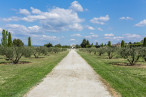 vente Propriété Cavaillon