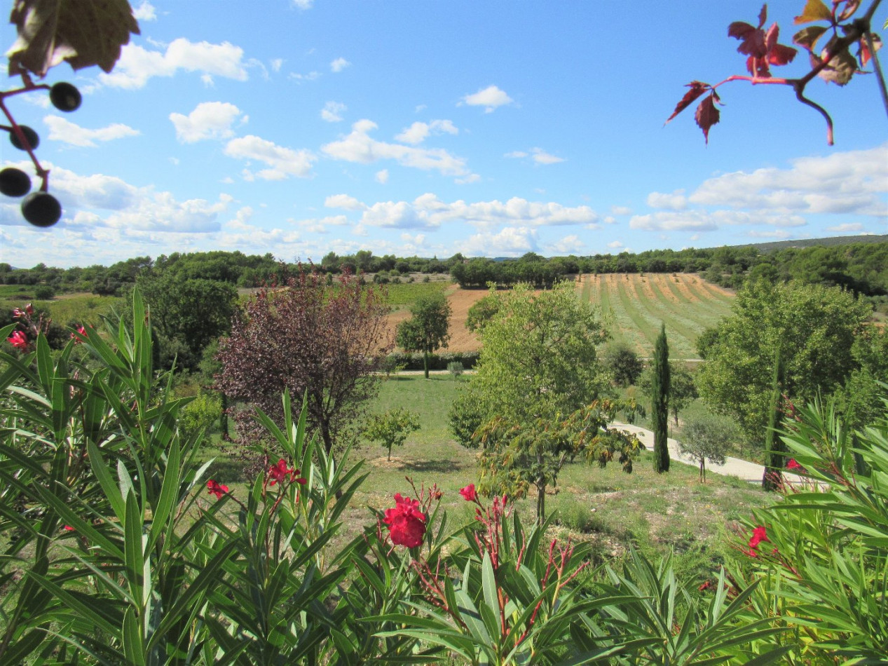 vente Maison Saint Saturnin Les Apt - Photo 6