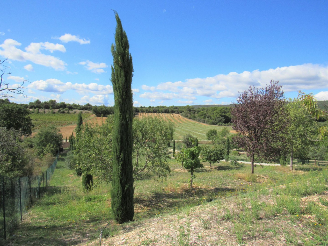 vente Maison Saint Saturnin Les Apt - Photo 8