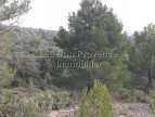 vente Terrain non constructible Saint Saturnin Les Apt