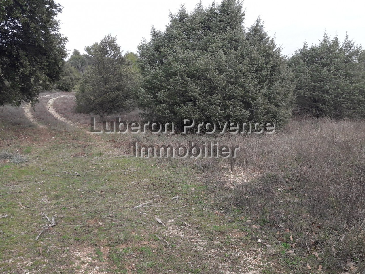 vente Terrain non constructible Saint Saturnin Les Apt