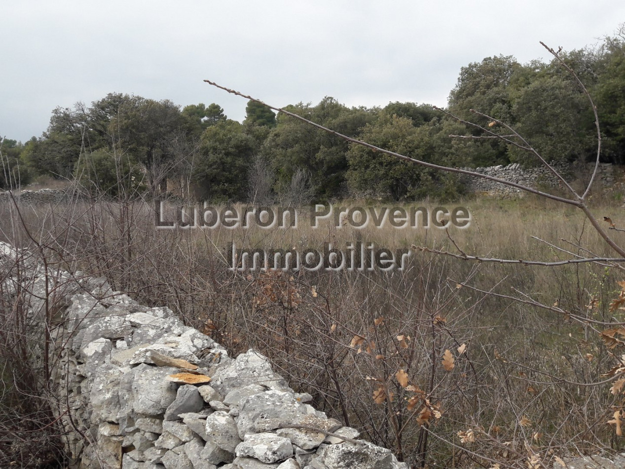 vente Terrain non constructible Saint Saturnin Les Apt - Photo 6