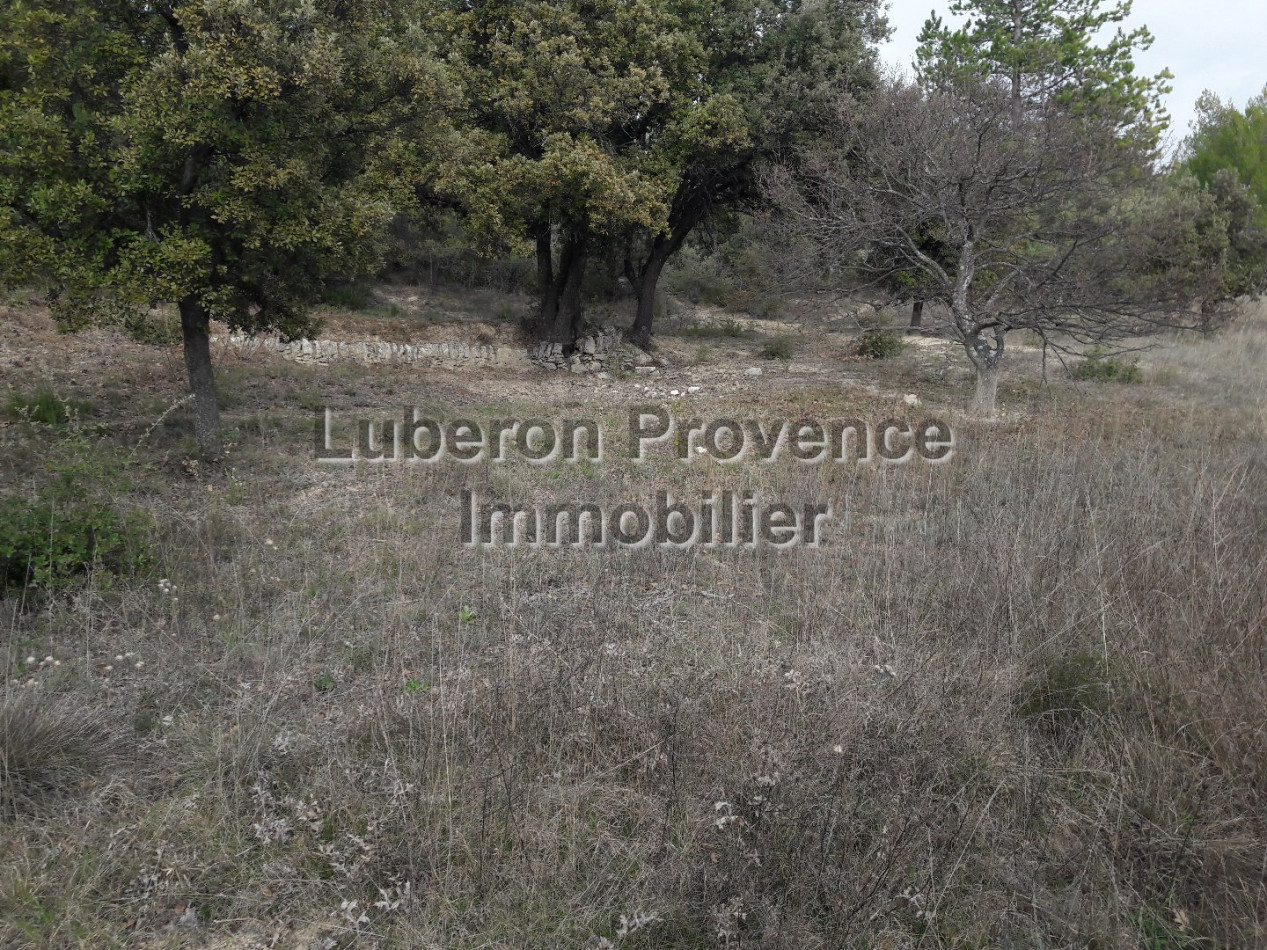 vente Terrain non constructible Saint Saturnin Les Apt - Photo 5