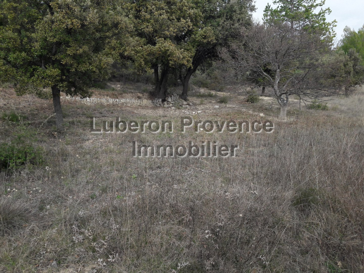 sale Terrain non constructible Saint Saturnin Les Apt