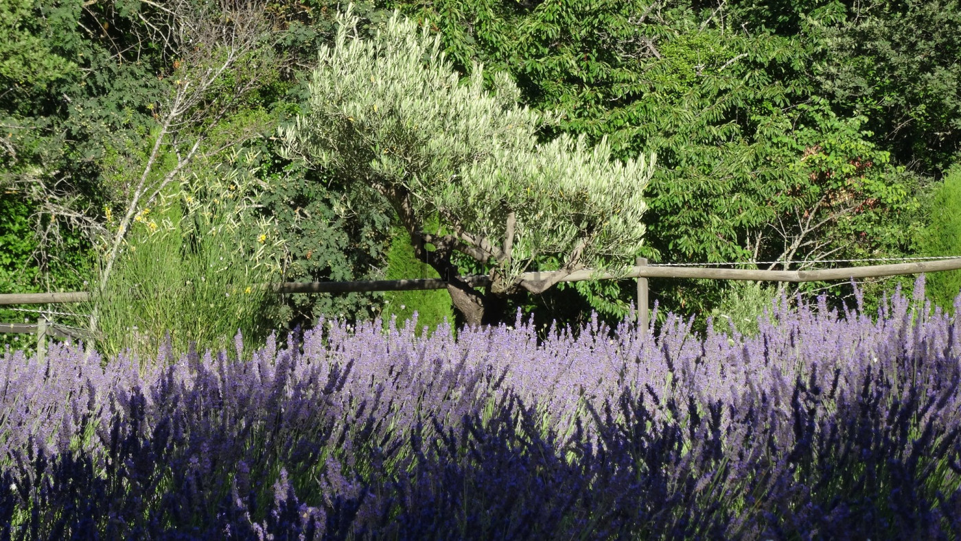 sale Propriété Apt - Photo 7