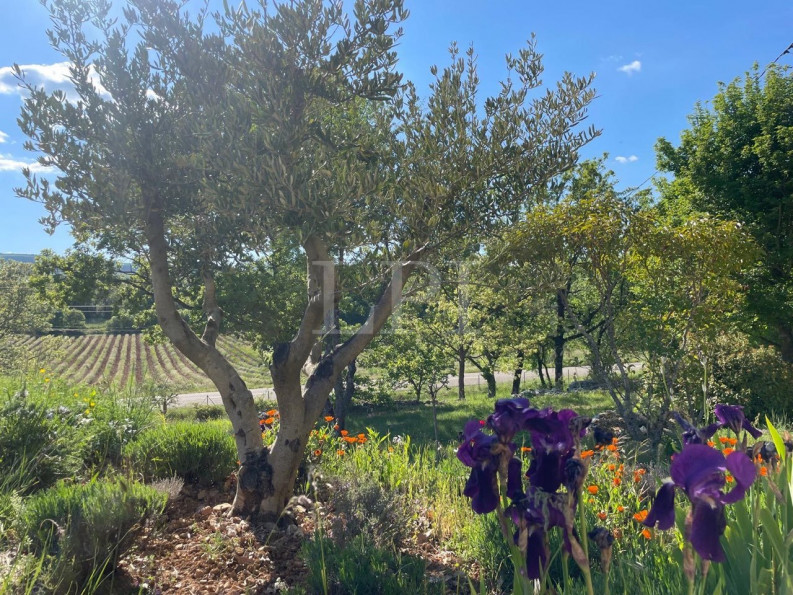 vente Mas Simiane La Rotonde - Photo 5