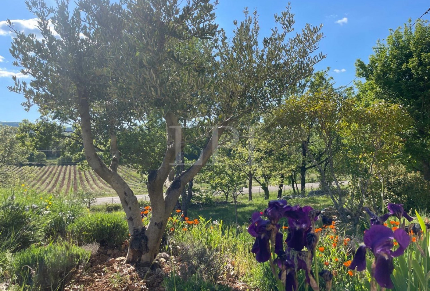 vente Mas Simiane La Rotonde - Photo 5