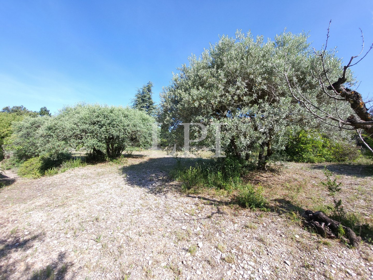 vente Maison Saint Saturnin Les Apt - Photo 4
