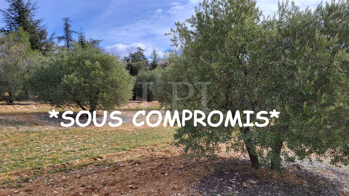 sale Terrain constructible Saint Saturnin Les Apt - Photo 1