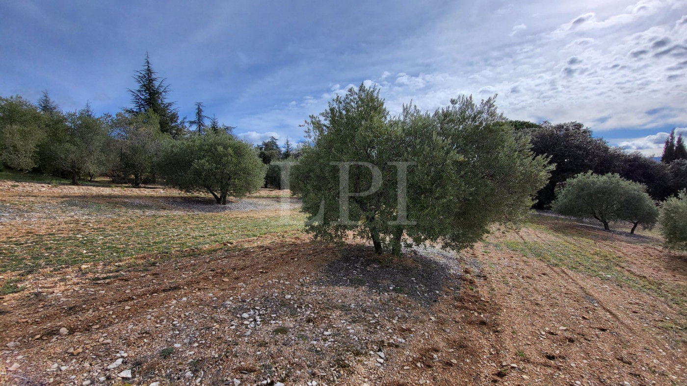 sale Terrain constructible Saint Saturnin Les Apt - Photo 3