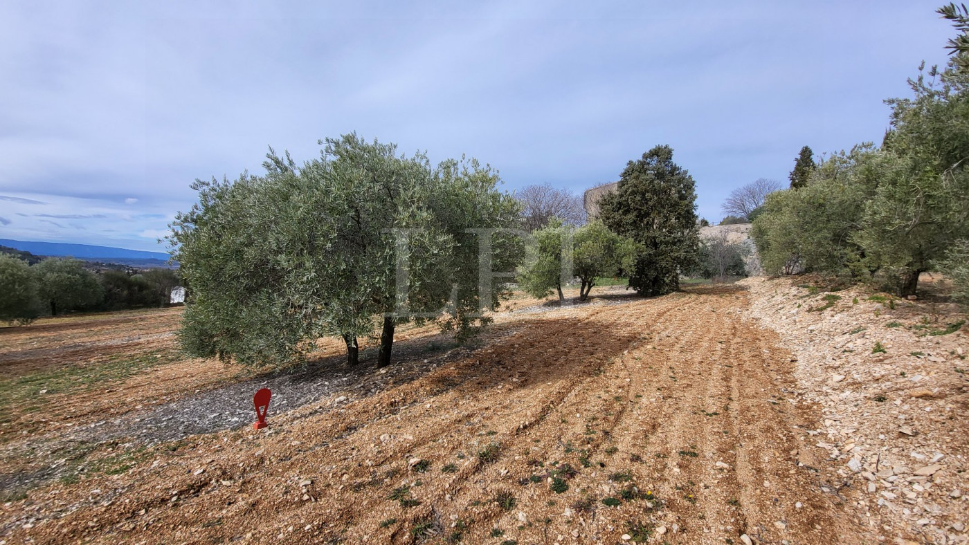 sale Terrain constructible Saint Saturnin Les Apt - Photo 2