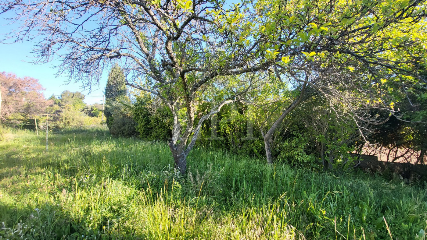 sale Maison Gargas - Photo 4