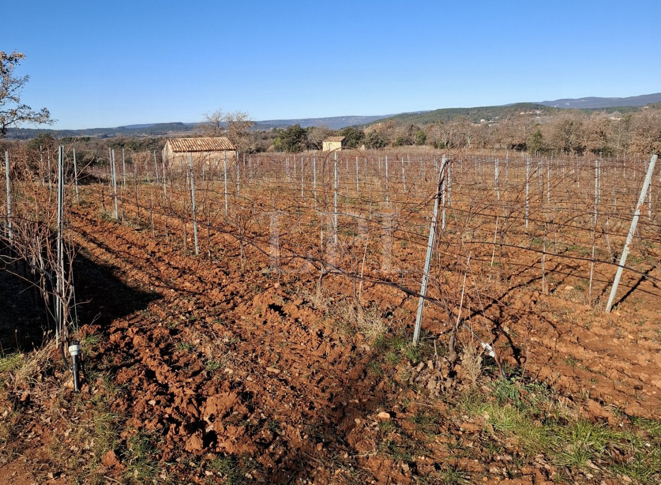 vente Mas Apt - Photo 17