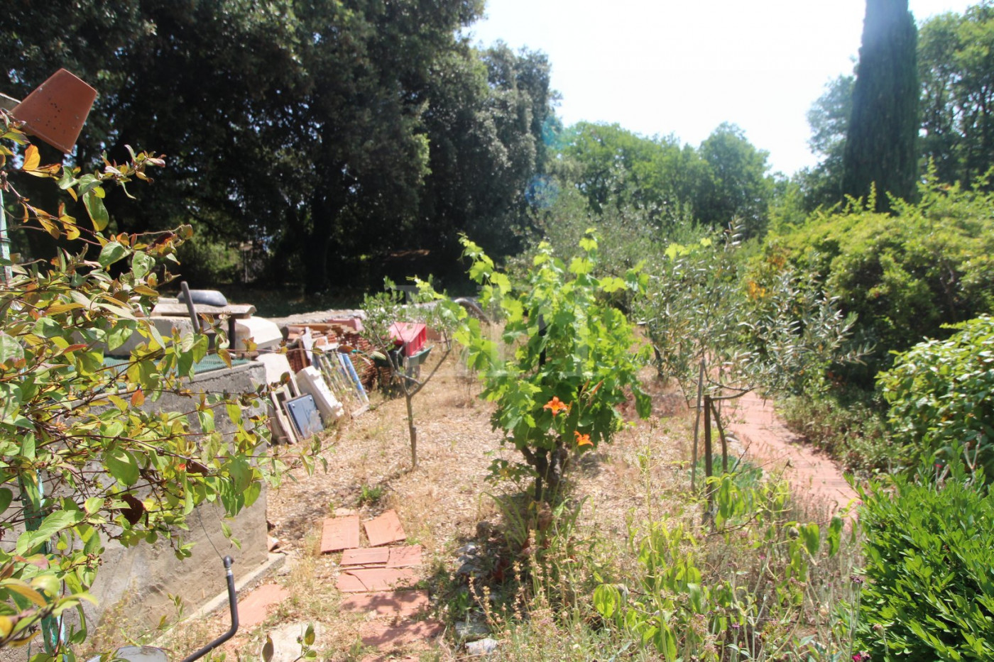 vente Maison Saint Saturnin Les Apt - Photo 2