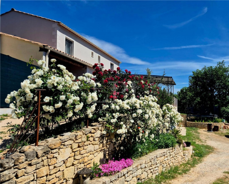 vente Maison Saint Martin De Castillon - Photo 1
