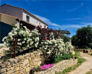 vente Maison Saint Martin De Castillon