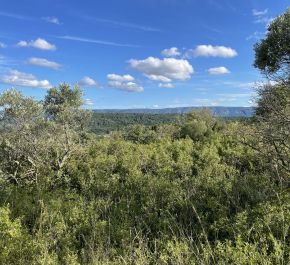 For sale Gordes | Réf 84014335 - Immobiliere du château