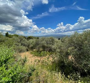 A vendre Gordes | Réf 84014343 - Immobilière du château