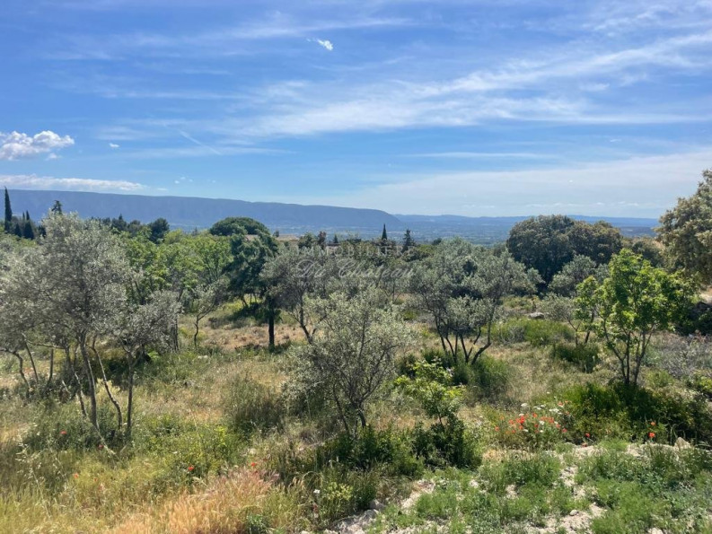 vente Terrain Gordes - Photo 1
