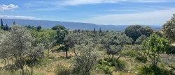 vente Terrain Gordes