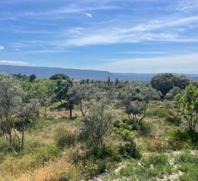 vente  Gordes