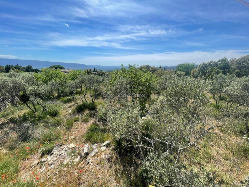vente Terrain Gordes - Photo 3