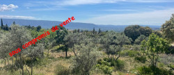 vente Terrain Gordes