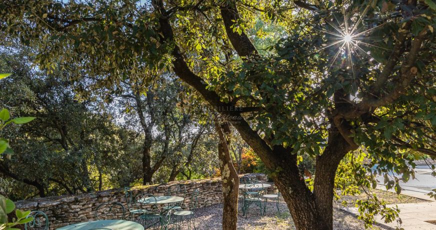 en location saisonnière Maison Gordes