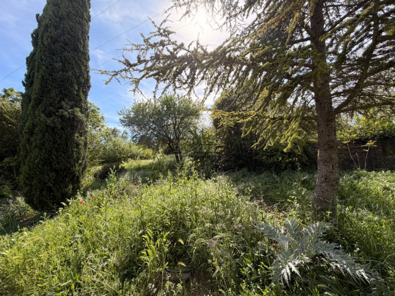 vente Terrain constructible Cabrieres D'avignon - Photo 2
