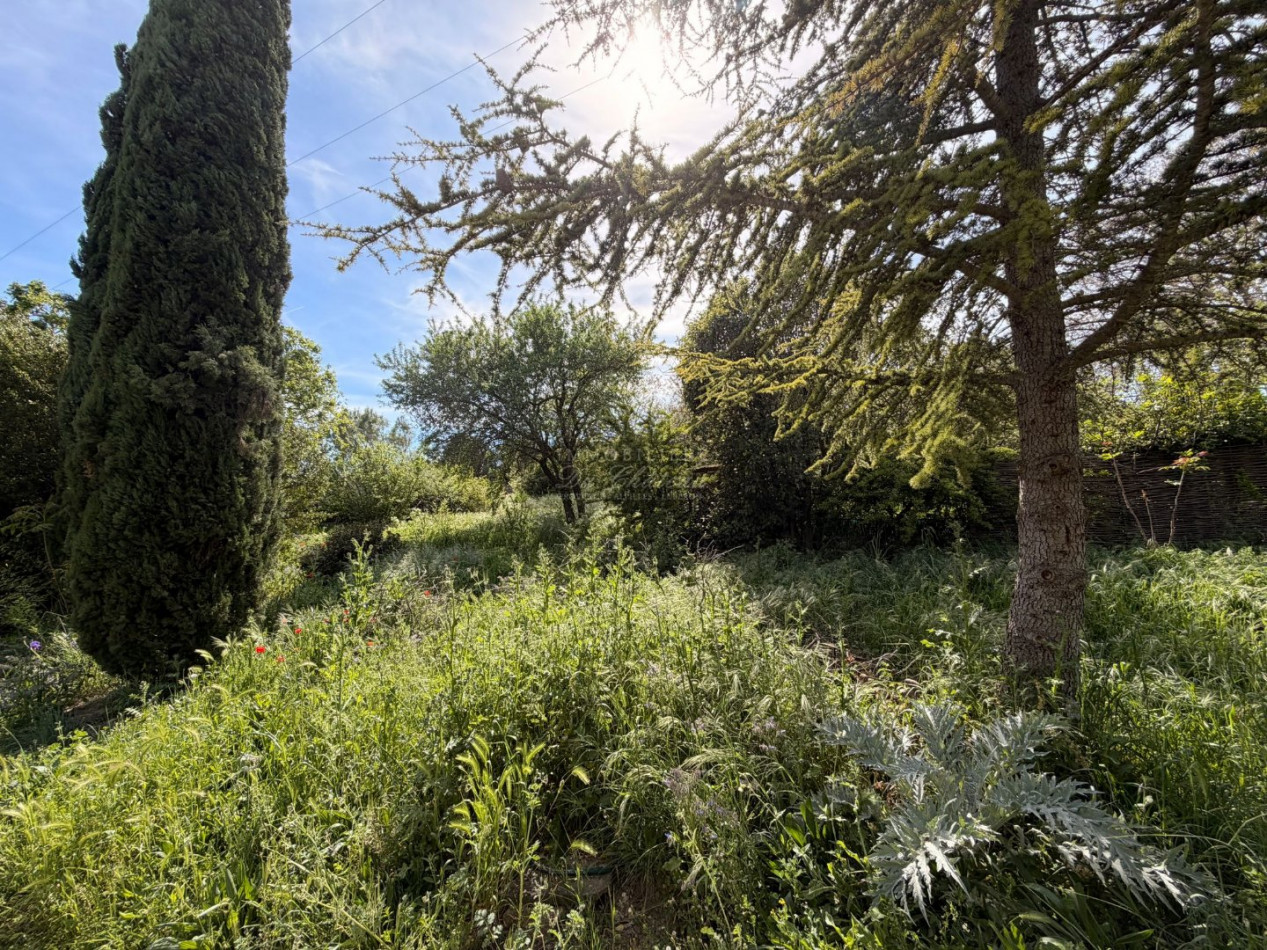 vente Terrain constructible Cabrieres D'avignon - Photo 2