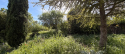 vente Terrain constructible Cabrieres D'avignon