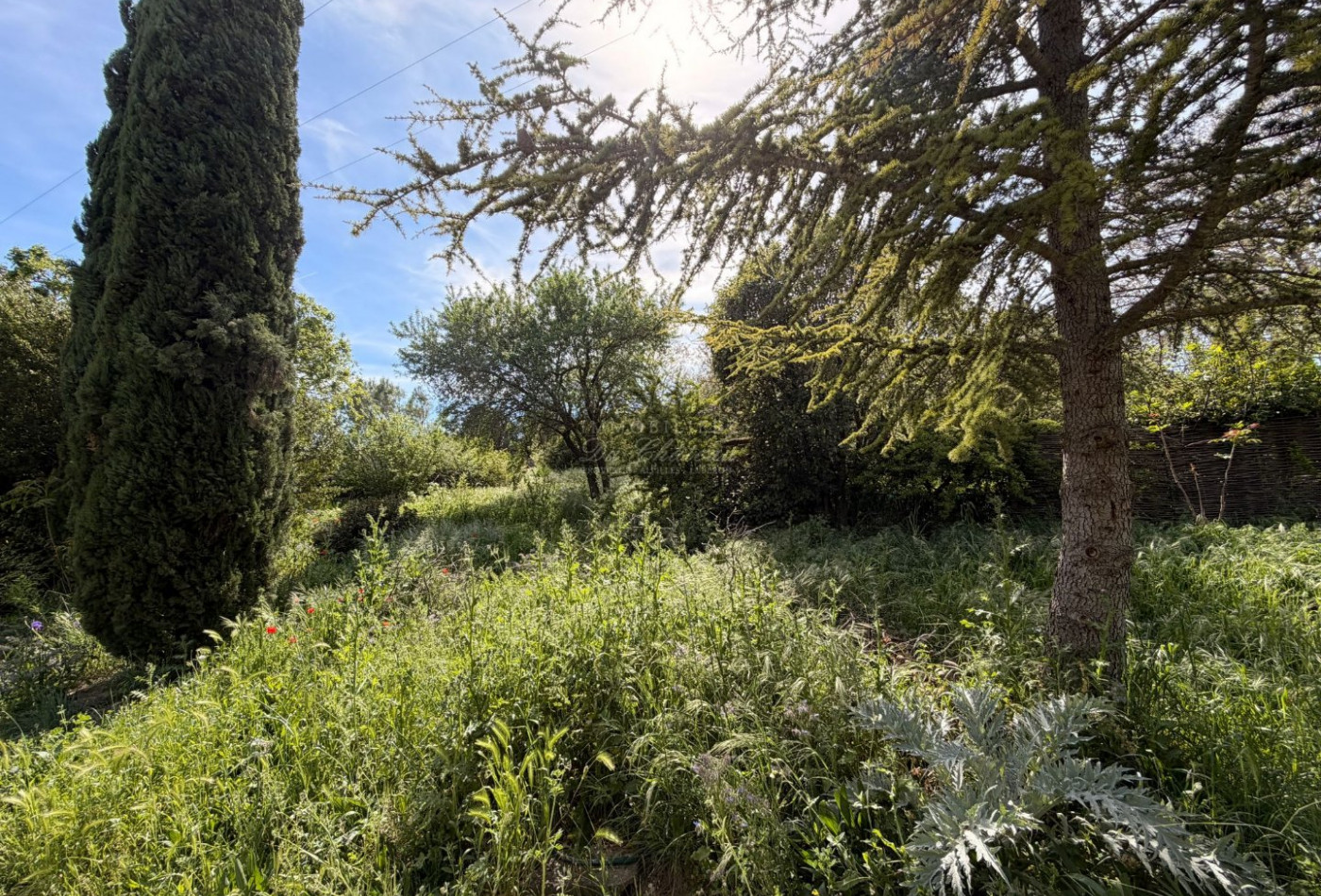vente Terrain constructible Cabrieres D'avignon - Photo 2